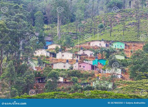 Village on Sri Lanka stock photo. Image of boat, shore - 267860350