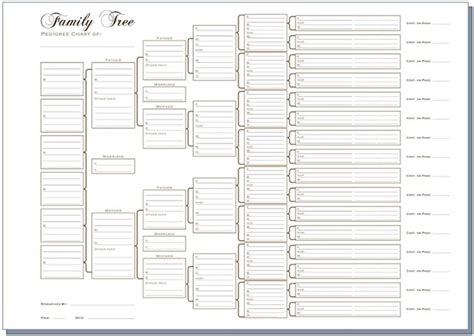 6 Generation Pedigree chart white | Family tree chart, Family tree ...