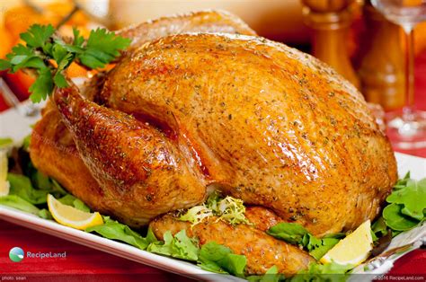 Herb Roasted Turkey Recipe | RecipeLand.com