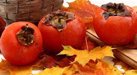 Orti e giardini d'autunno - LiberEtà