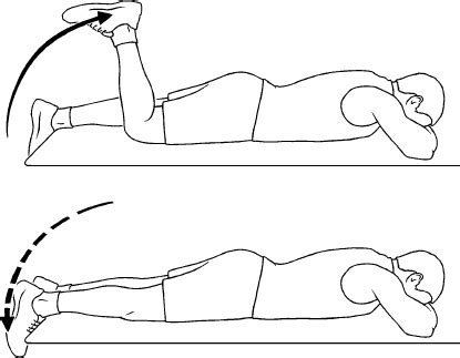 Knee Flexion Exercises and Conditions | Total Transformation