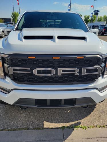 2021+ Raptor "FORD" Grille Overlay | ISFP Custom Emblems