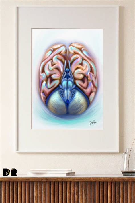 abstract brain anatomy artwork Brain Anatomy, Anatomy Art, Human Anatomy, Neurology Art ...