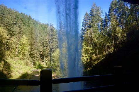 Explore the Beauty in Silver Falls State Park