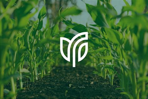 Fresha | Farming Agriculture Organic Logo | Branding :: Behance