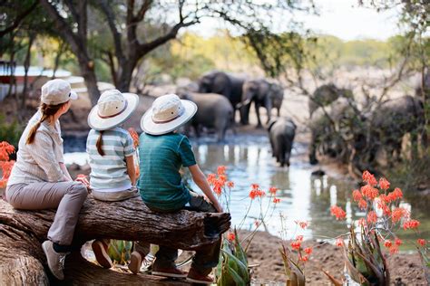 Les 3 meilleurs safaris d'Afrique à faire en famille - Nomadays