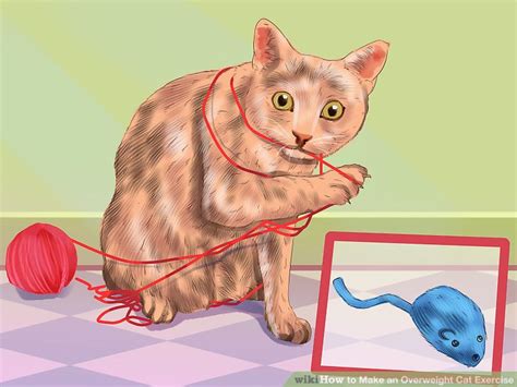 How to Make an Overweight Cat Exercise: 11 Steps (with Pictures)