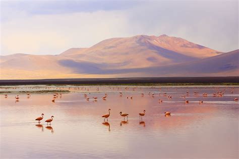 5 of the Best Hikes in the Altiplano