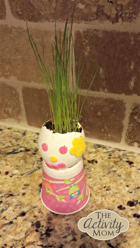 DIY Chia Pet - The Activity Mom | Easter activities for kids, Chia pet, Craft activities for kids