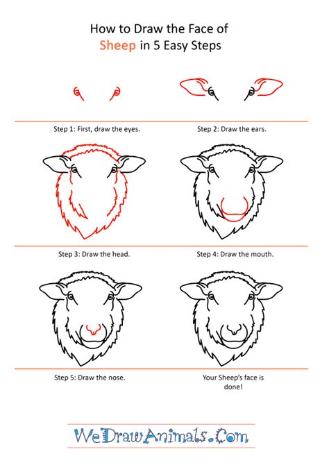 How to Draw a Sheep Face