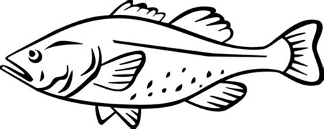 Cod Coloring Pages Coloring Pages