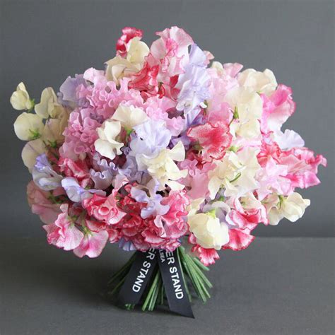 Scented Sweet Peas Bouquet | Dutch Sweet Peas | Same Day Flowers