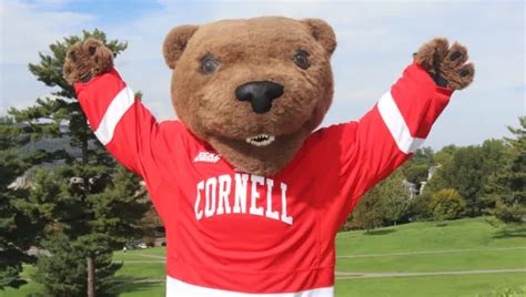 Exclusive Stats on Cornell Admissions You Need to Know