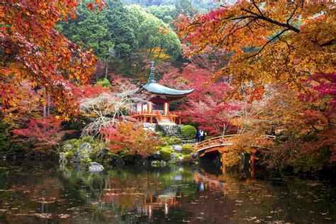 Top 10 Temples and Shrines for Koyo & Momiji in Kyoto - GaijinPot Travel