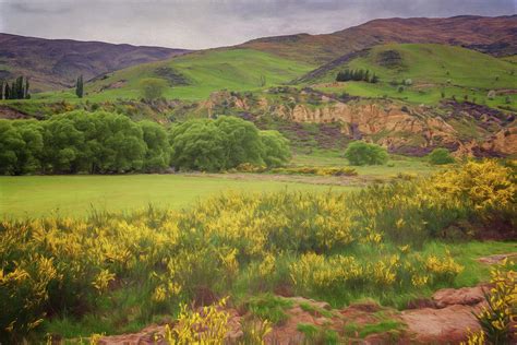 New Zealand Countryside Photograph by Joan Carroll - Fine Art America