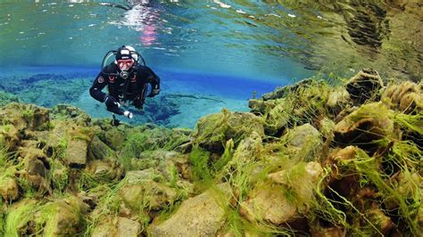 Diving in Silfra Day Tour | Activity Iceland