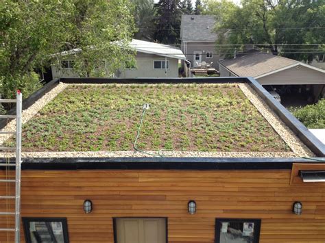 EcoFriendly Sask: Saskatoon's First Residential Green Roof