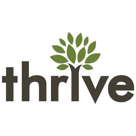 Thrive Internet Marketing Agency - Arlington Web Agency - Agency Spotter