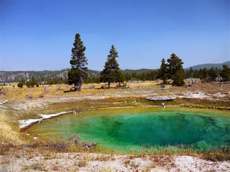 Geysers Hot Springs Yellowstone National Park Wyoming Stock Image - Image of landmark, park ...