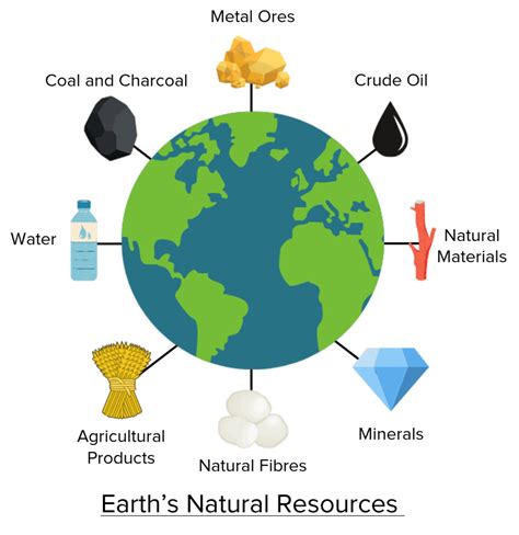 Earth's Natural Resources Questions and Revision | MME