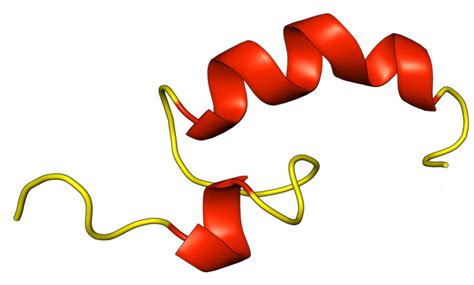 Teriparatide Fact Sheet | Space Peptides