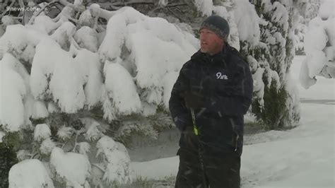 Late-May snowfall blankets Colorado, downs trees | 9news.com