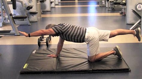 Exercise Progression Series: Part 3 - Supine & Prone Core Progression - YouTube