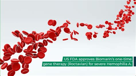 US FDA approves Biomarin’s one-time gene therapy (ROCTAVIAN) for severe hemophilia A.