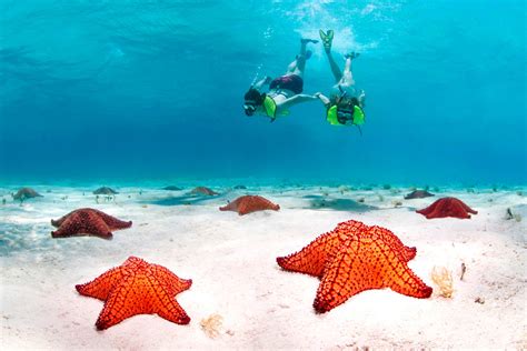 6 Best Snorkelling Spots in the Dominican Republic | Flight Centre