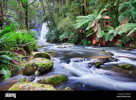 Hopetoun Falls in Otway Ranges National Park, Victoria Australia Stock ...