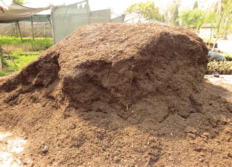 Bulk Potting soil - Windy Willows