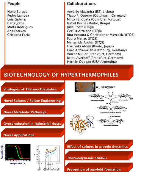 Biotechnology of Hyperthermophiles — ITQB