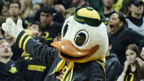 Watch: Oregon mascot loses head while taunting Sanders | Yardbarker