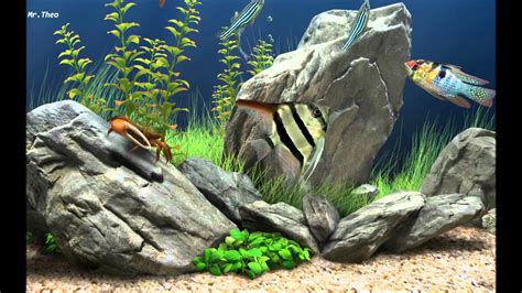 3D Fish Tank Wallpaper (59+ images)