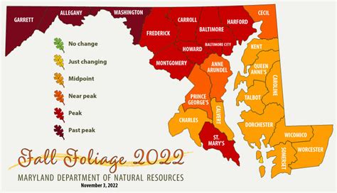 DNR - Fall Foliage Report – November 4, 2022 | Southern Maryland Community Forums