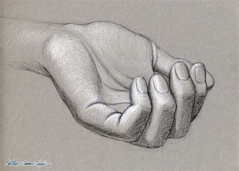 Pin by Angel on Hands | How to draw hands, Human anatomy drawing, Life drawing