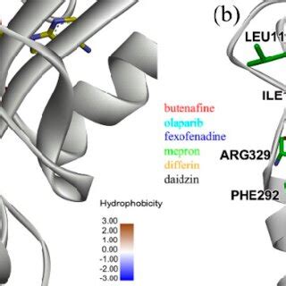 (a) Binding poses of ALDH2 with selected inhibitors from docking and ...