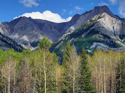 View Of Bow River Valley Parkway In Alberta, Canada Photograph by Jalag / Klaus Bossemeyer ...