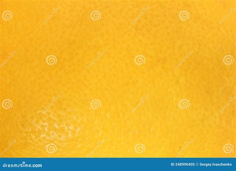 Texture of lemon peel. stock image. Image of orange - 248990405