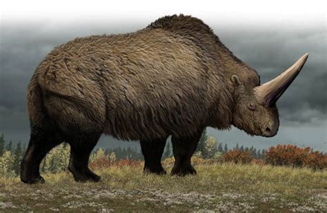 Giant rhinoceros (Elasmotherium) – a prehistoric rhino | DinoAnimals.com