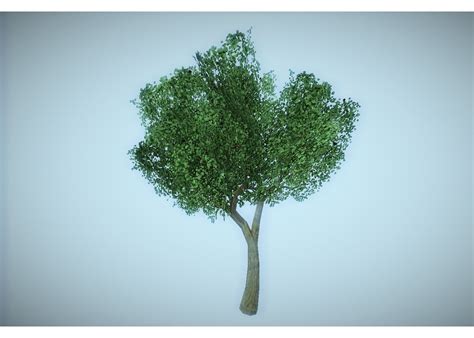 3D model low poly tree VR / AR / low-poly OBJ 3DS LWO LW LWS HRC XSI BLEND - CGTrader.com