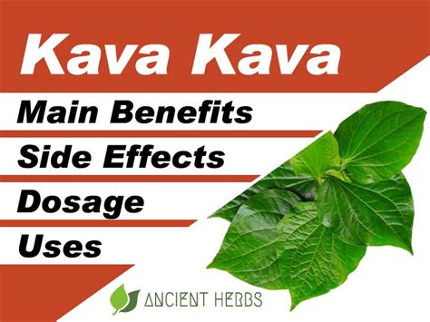 Kava Kava Benefits, Uses, Dosage & Side Effects