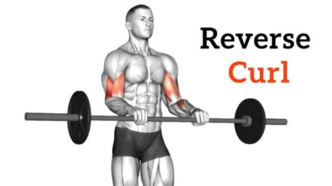 Reverse Bicep Curl: Muscle Worked, Benefits, Variations