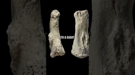 Ancient Giants Revealed: Footprints, Fossils, and Caveman Art - Go IT