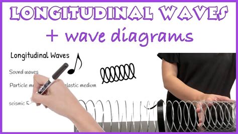 Longitudinal Waves 8th Grade Science