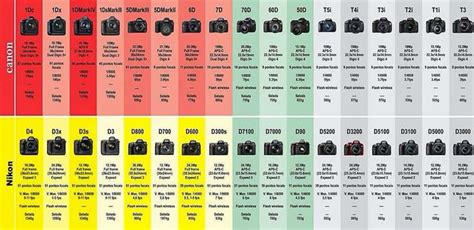 canon mirrorless camera comparison chart Nikon canon camera cameras dslr models comparison ...