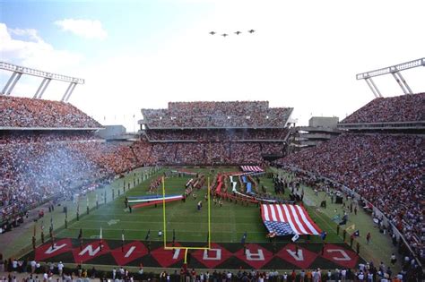 1000+ images about University of South Carolina Gamecocks on Pinterest