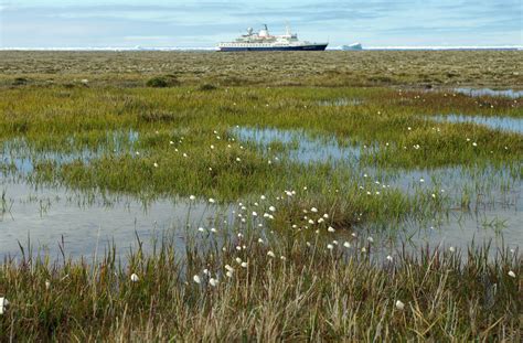 Bylot Island - Croker Bay - Looking Back to the Ship - Arctic Travel Pictures