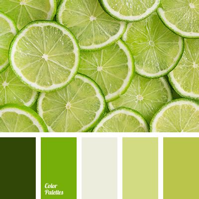 light green and dark green colors | Color Palette Ideas