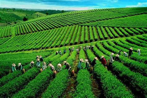 Top 8 best places to visit in Son La, Vietnam